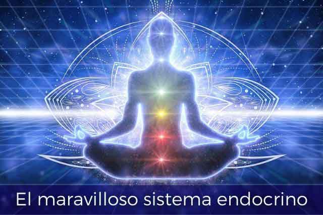 Kusisami Kusisami Sanacion Interior