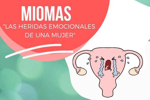 Kusisami Kusisami Sanacion Interior