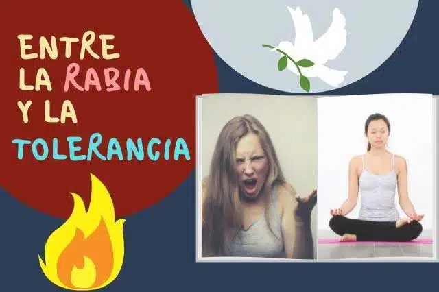 Kusisami Kusisami Sanacion Interior