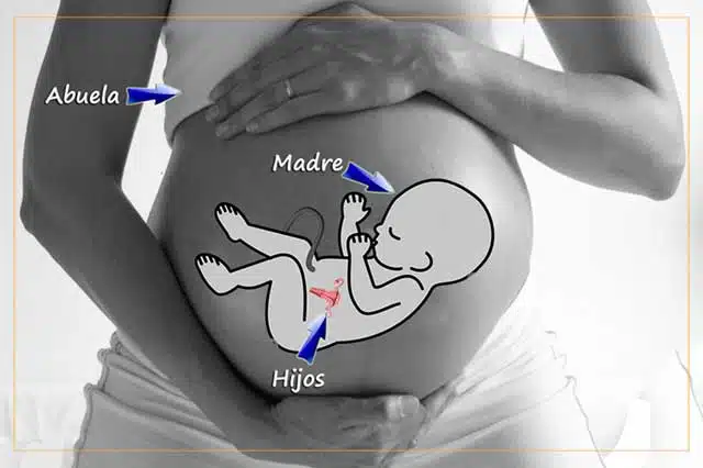 Kusisami Kusisami Sanacion Interior